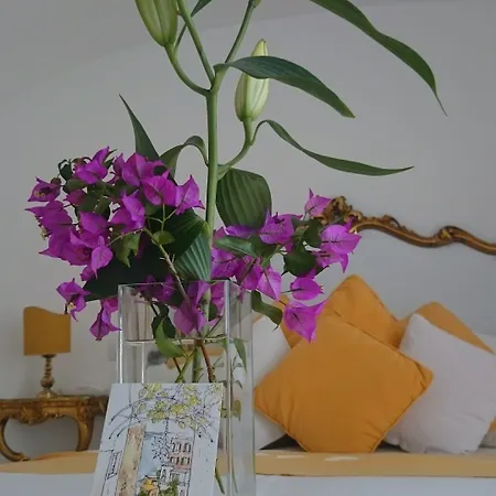 Yiara (adults Only) 4*