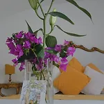 Yiara (adults Only) 4*