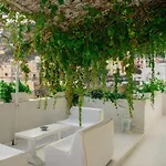 Yiara (adults Only)